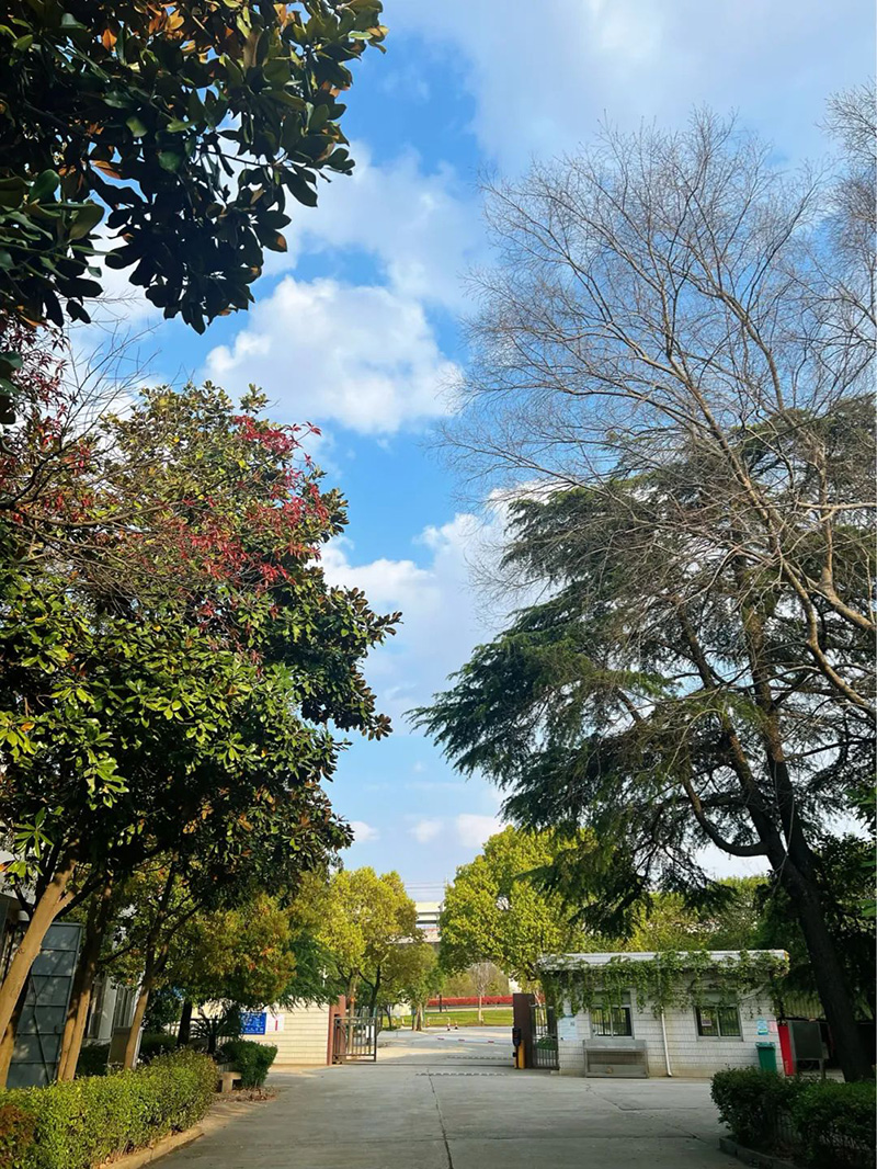 極致的康發(fā)雙螺桿造粒機工匠精神，支撐著在追逐夢想的旅程中穩(wěn)步邁進。