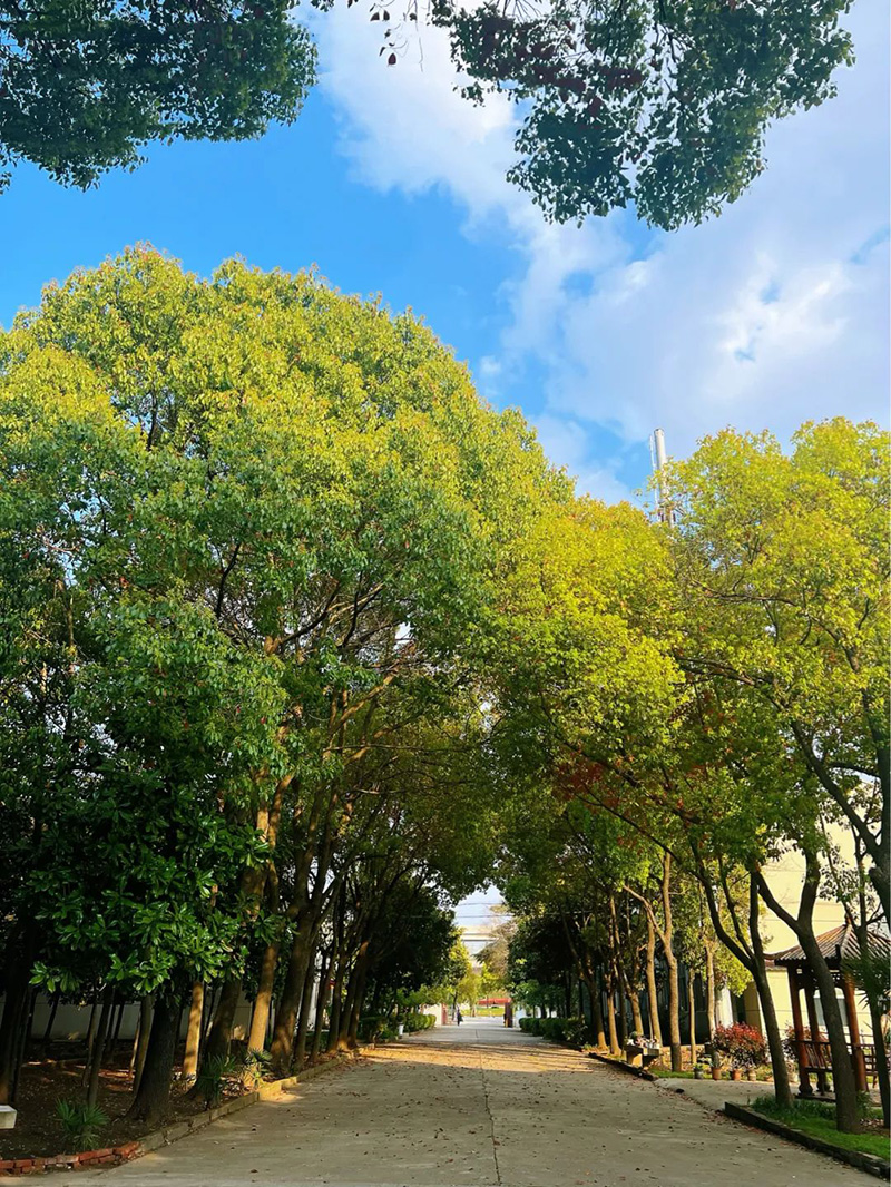 極致的康發(fā)雙螺桿造粒機工匠精神，支撐著在追逐夢想的旅程中穩(wěn)步邁進。