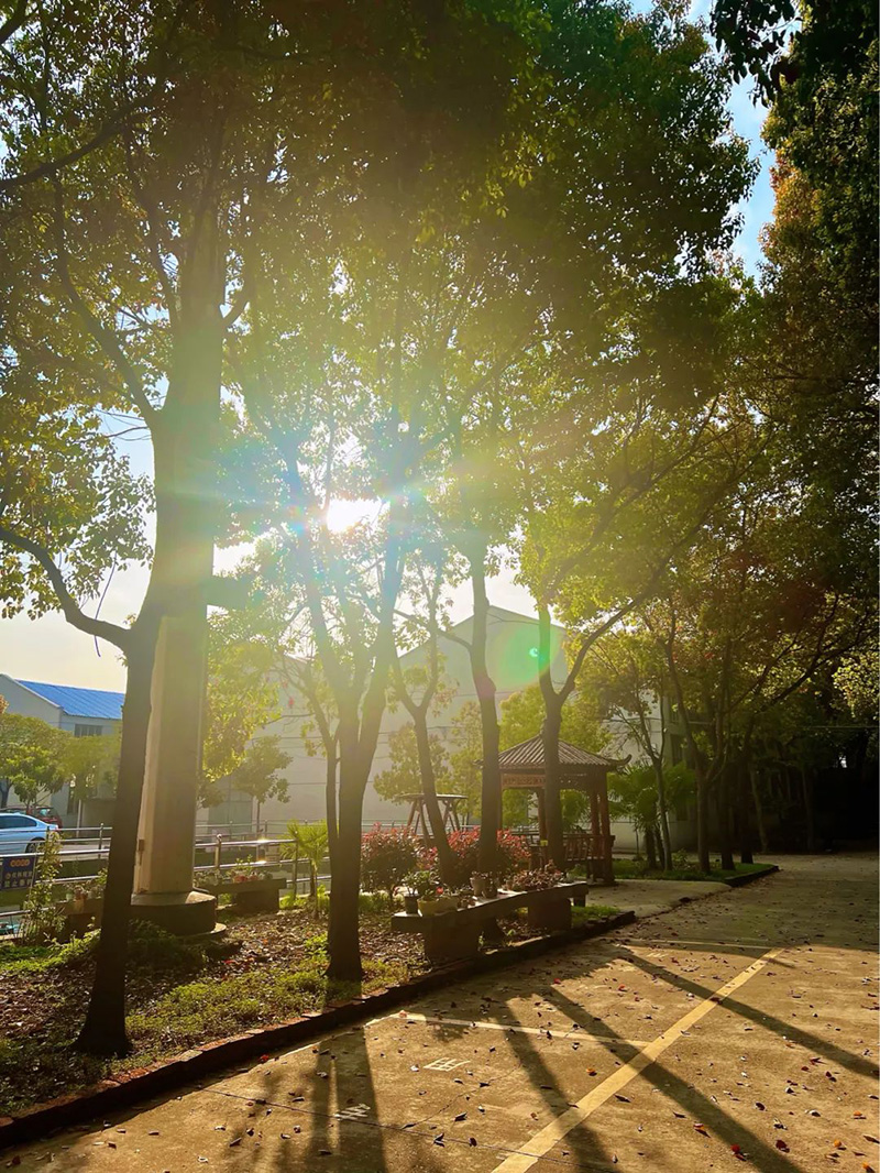 極致的康發(fā)雙螺桿造粒機工匠精神，支撐著在追逐夢想的旅程中穩(wěn)步邁進。